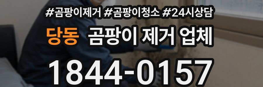 당동 곰팡이 제거 업체