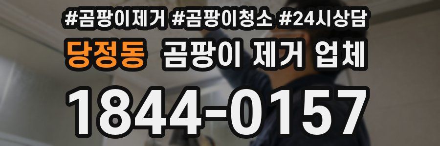 당정동 곰팡이 제거 업체