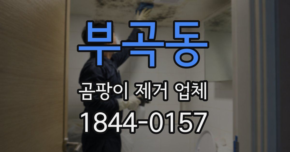 부곡동 곰팡이 제거 업체