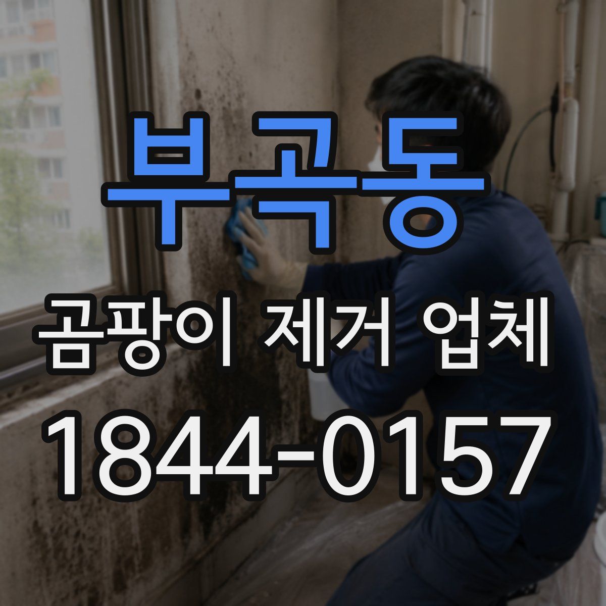 부곡동 곰팡이 제거 업체