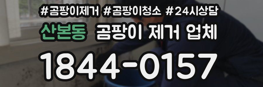 산본동 곰팡이 제거 업체
