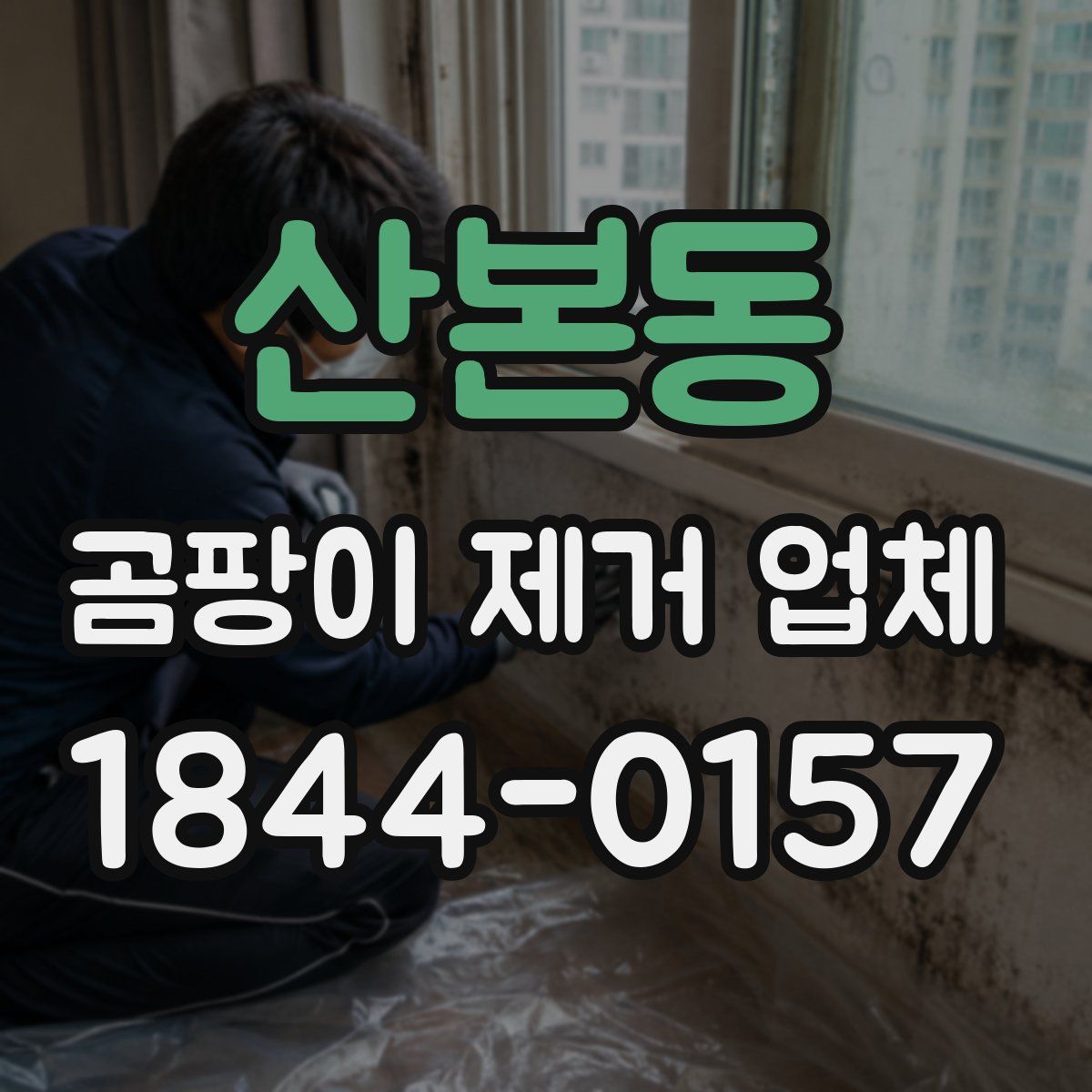 산본동 곰팡이 제거 업체
