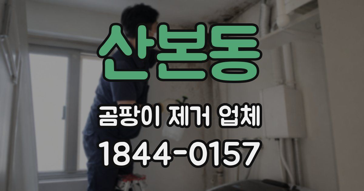 산본동 곰팡이 제거 업체