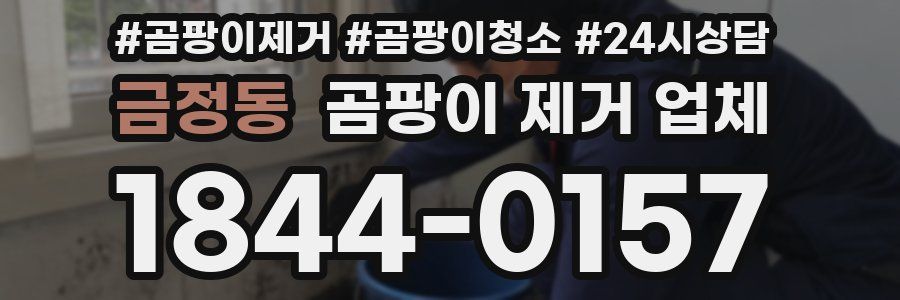 금정동 곰팡이 제거 업체