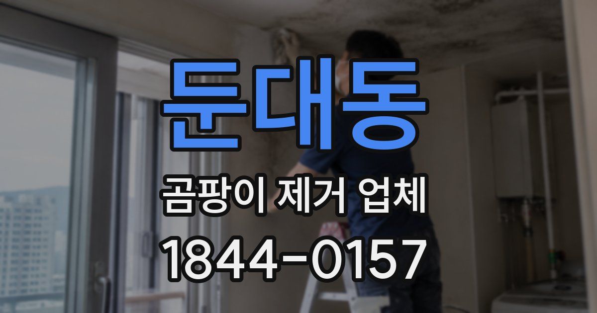 둔대동 곰팡이 제거 업체