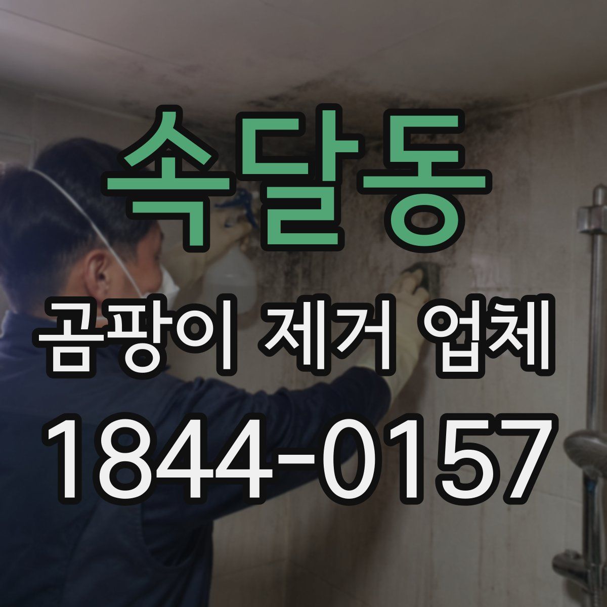 속달동 곰팡이 제거 업체