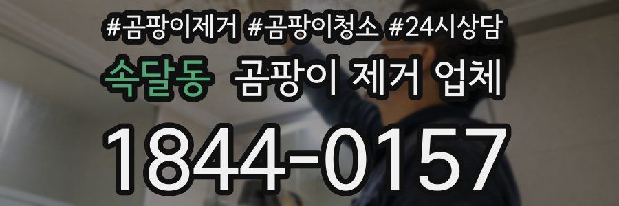 속달동 곰팡이 제거 업체