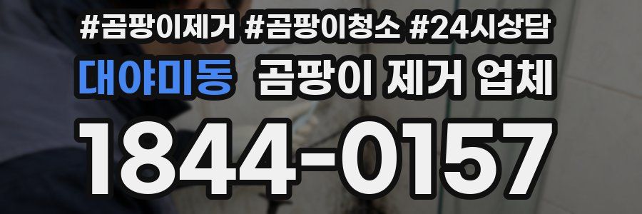 대야미동 곰팡이 제거 업체