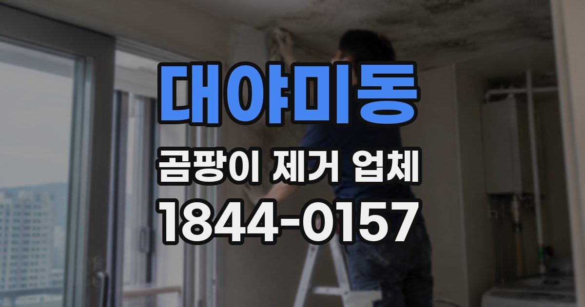 대야미동 곰팡이 제거 업체