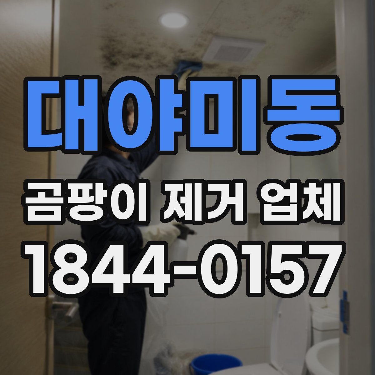 대야미동 곰팡이 제거 업체