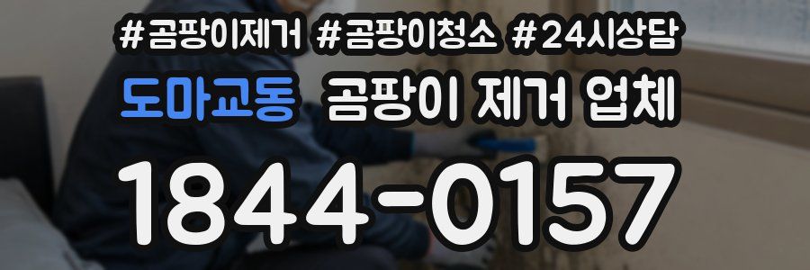 도마교동 곰팡이 제거 업체