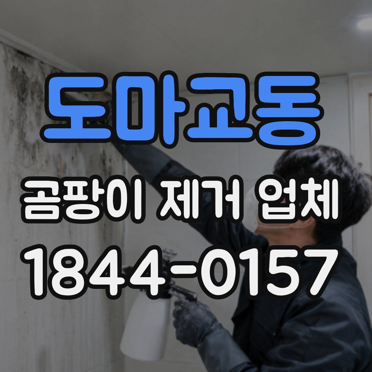 도마교동 곰팡이 제거 업체