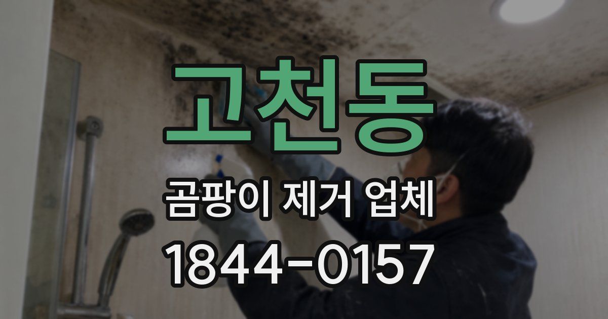 고천동 곰팡이 제거 업체