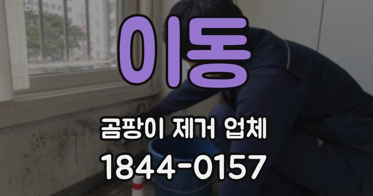 이동 곰팡이 제거 업체