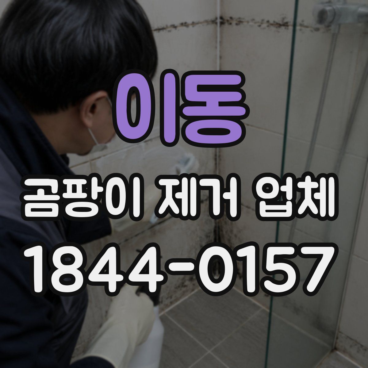 이동 곰팡이 제거 업체