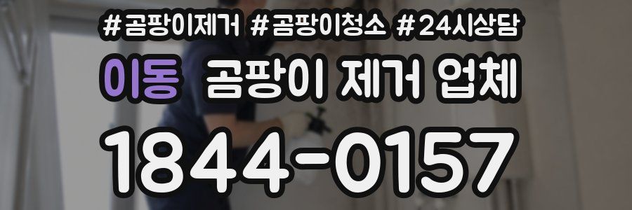 이동 곰팡이 제거 업체