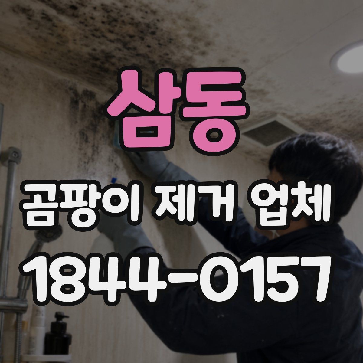 삼동 곰팡이 제거 업체 제거 뒤 냄새와 잔여물까지 확인하는 순서