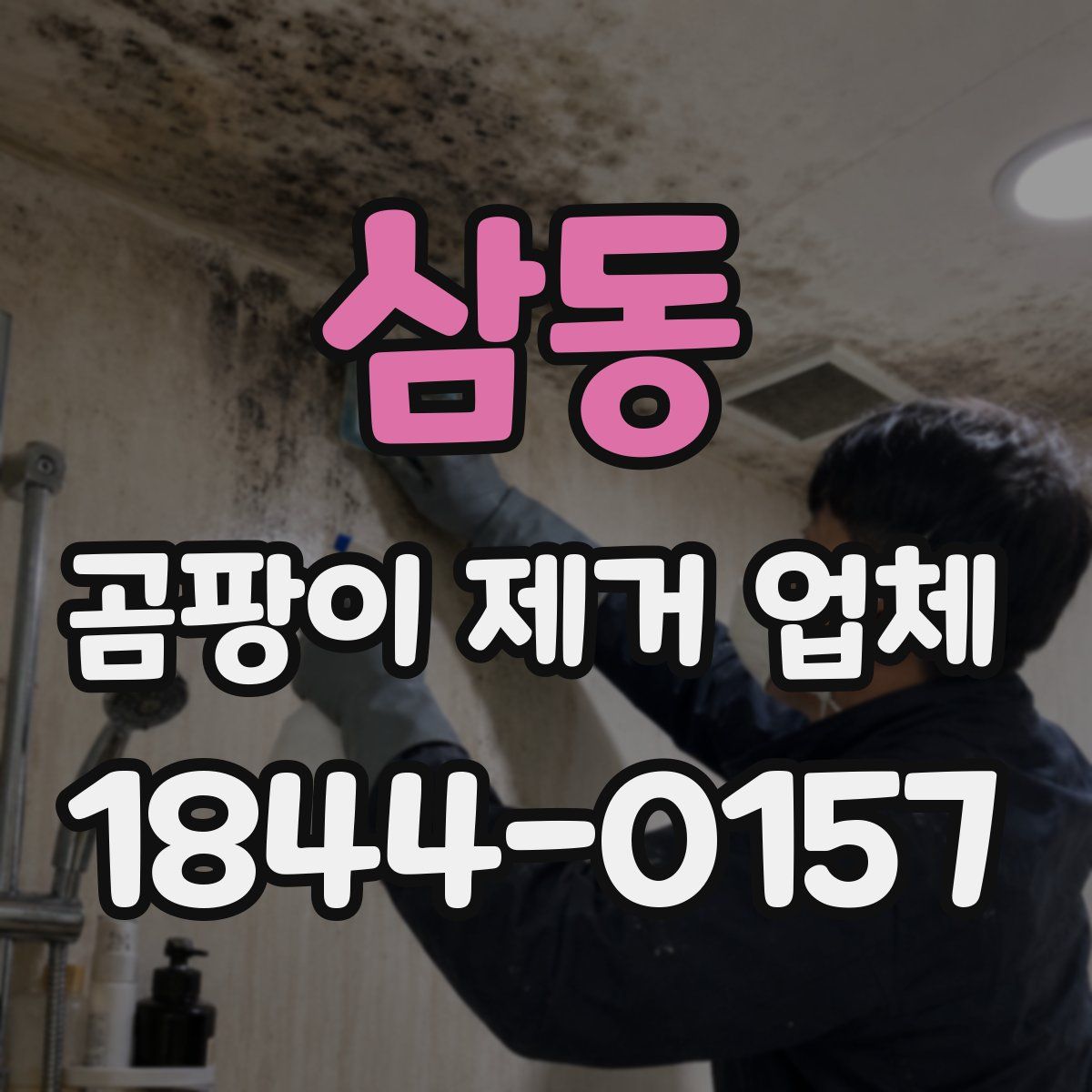 삼동 곰팡이 제거 업체