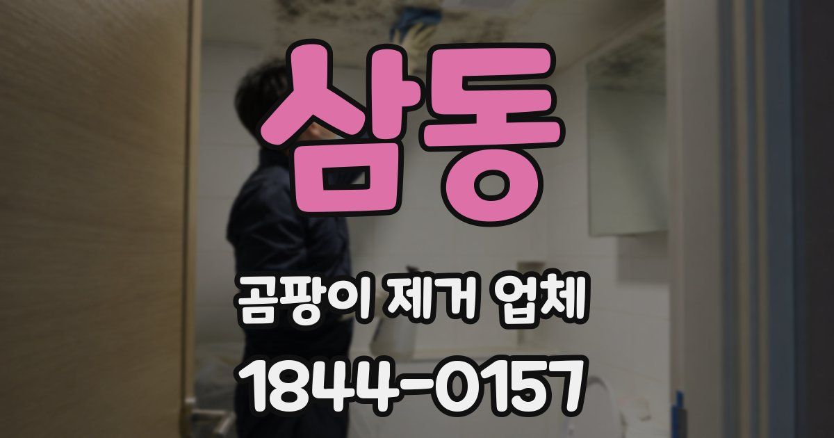 삼동 곰팡이 제거 업체
