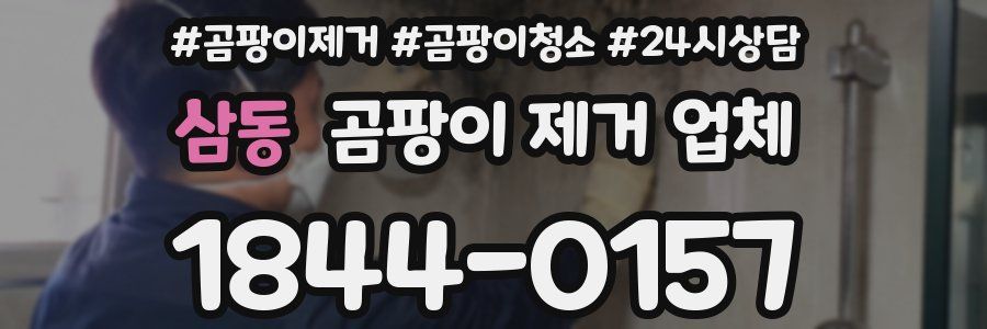 삼동 곰팡이 제거 업체