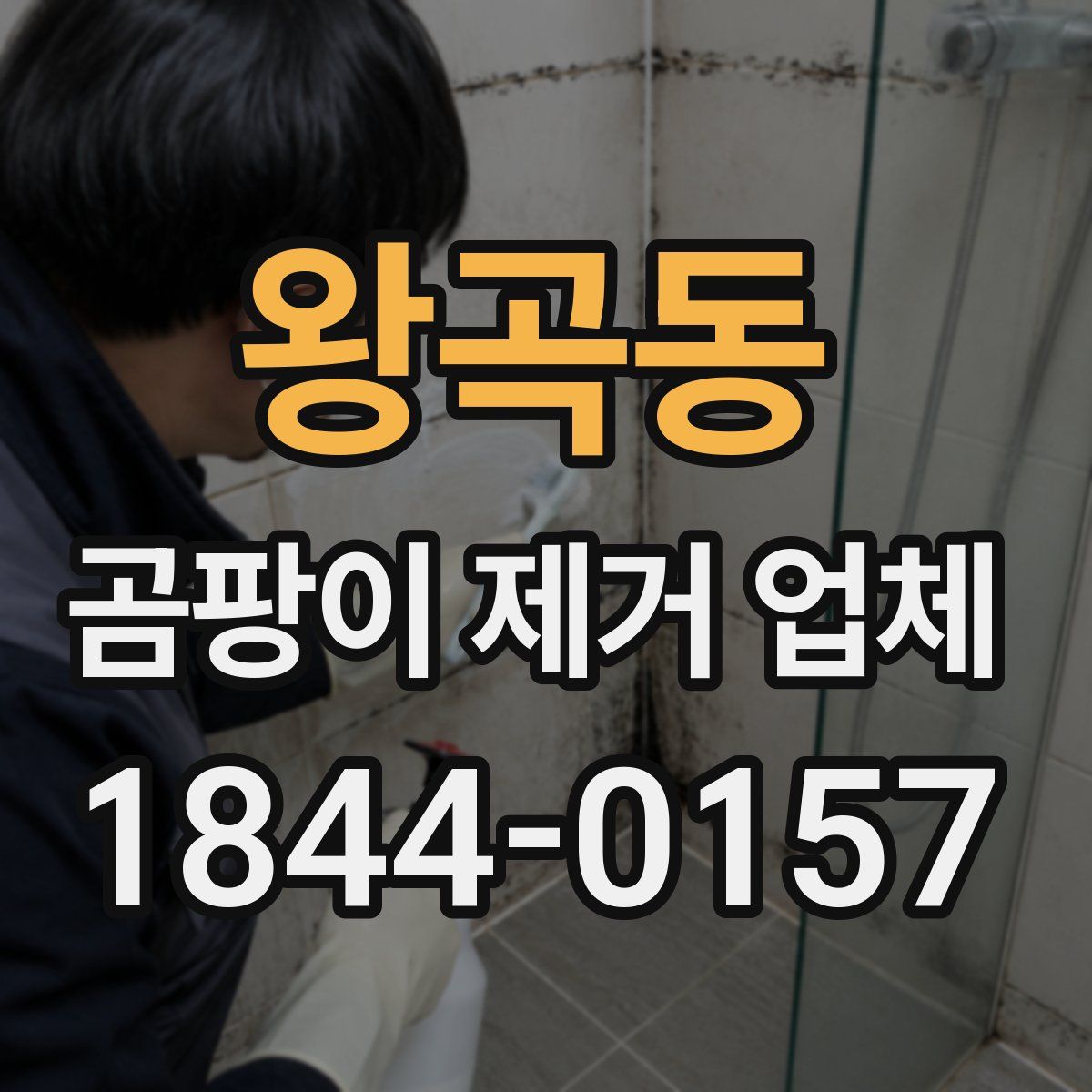 왕곡동 곰팡이 제거 업체
