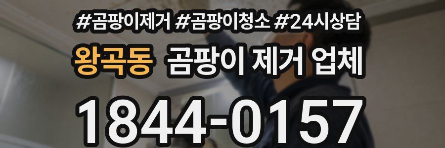 왕곡동 곰팡이 제거 업체