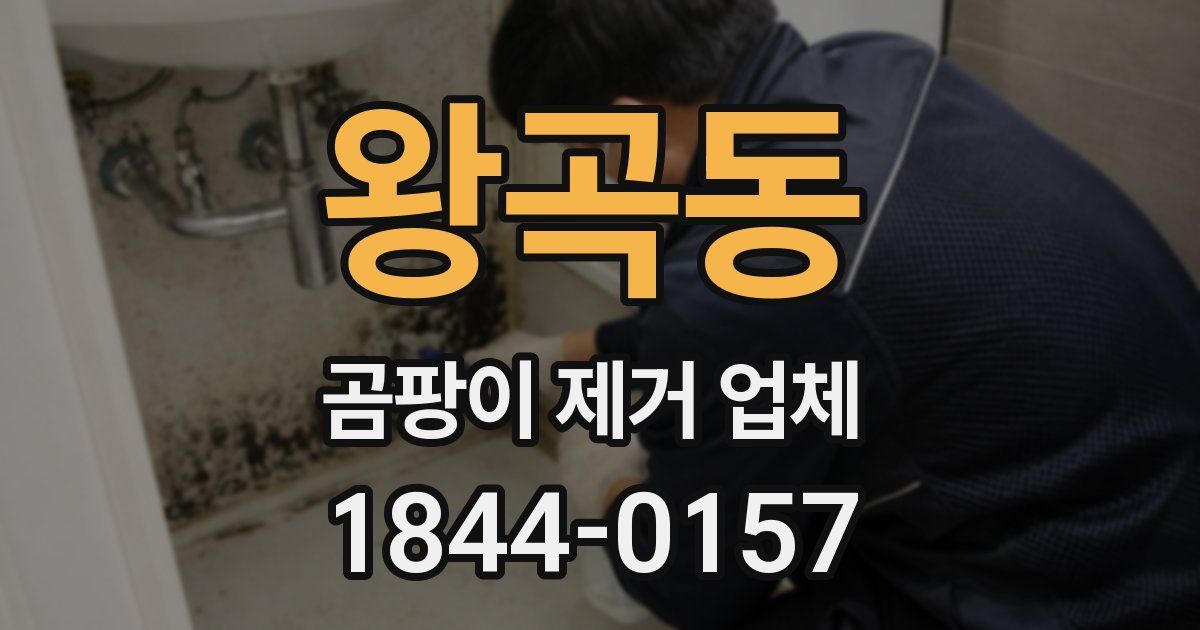 왕곡동 곰팡이 제거 업체
