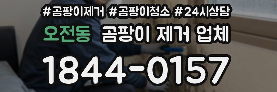 오전동 곰팡이 제거 업체