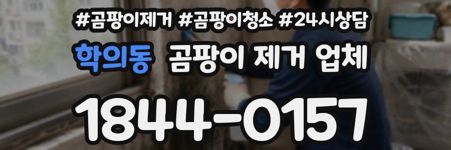 학의동 곰팡이 제거 업체