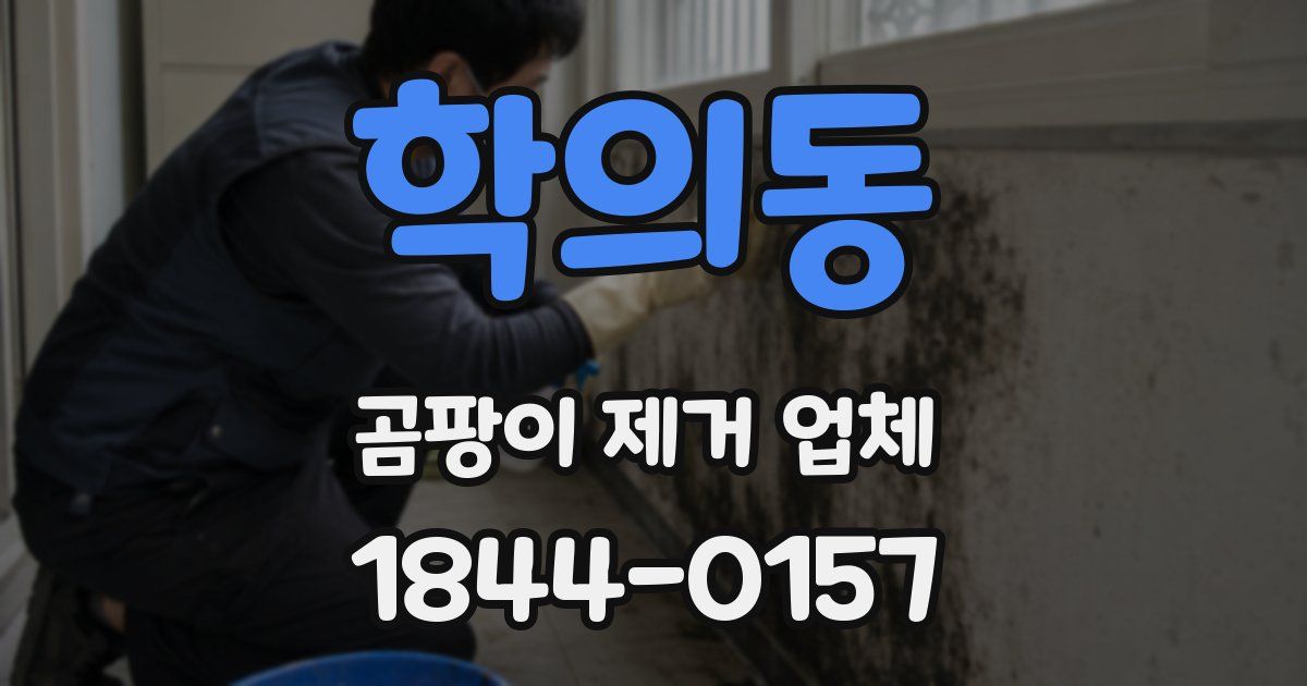 학의동 곰팡이 제거 업체