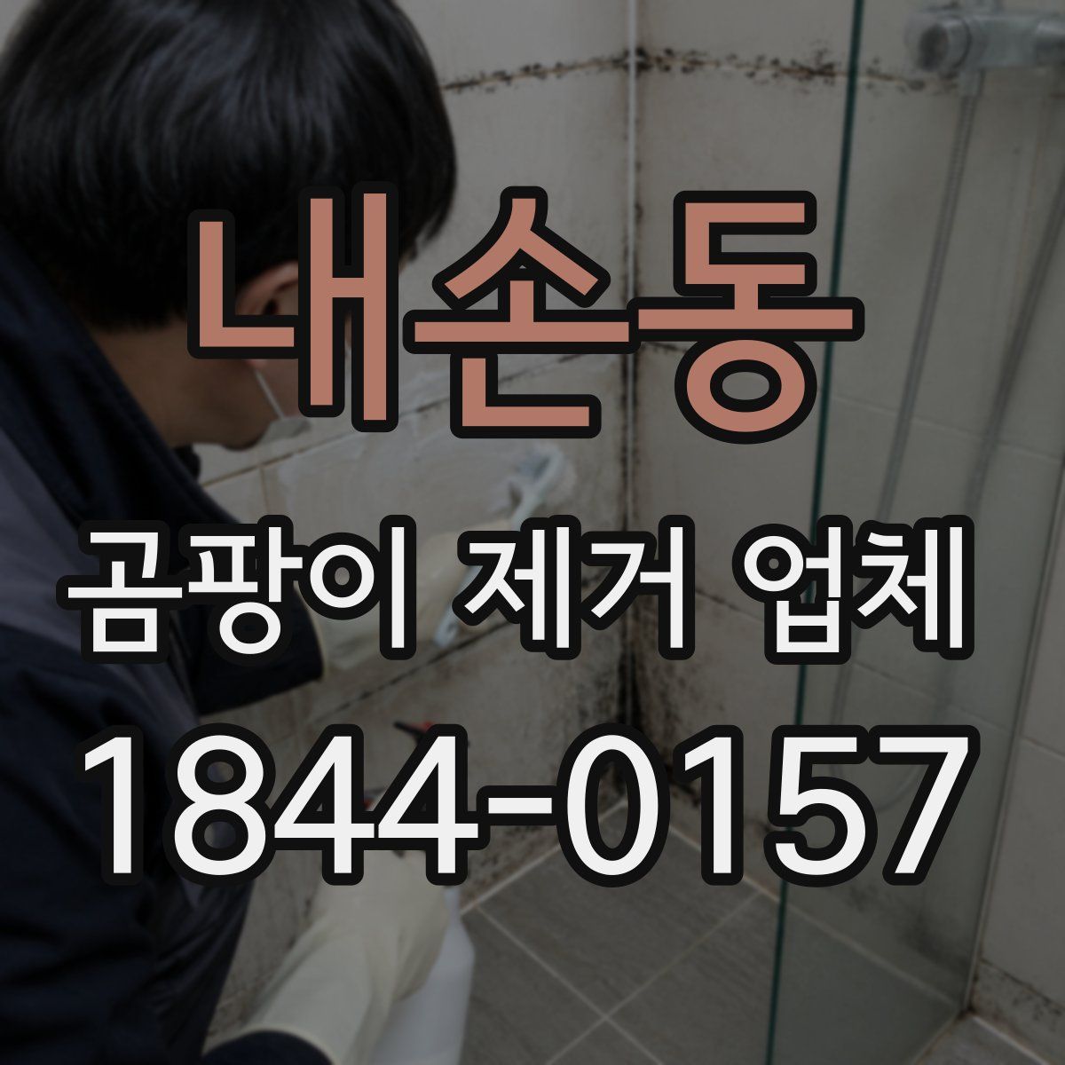 내손동 곰팡이 제거 업체