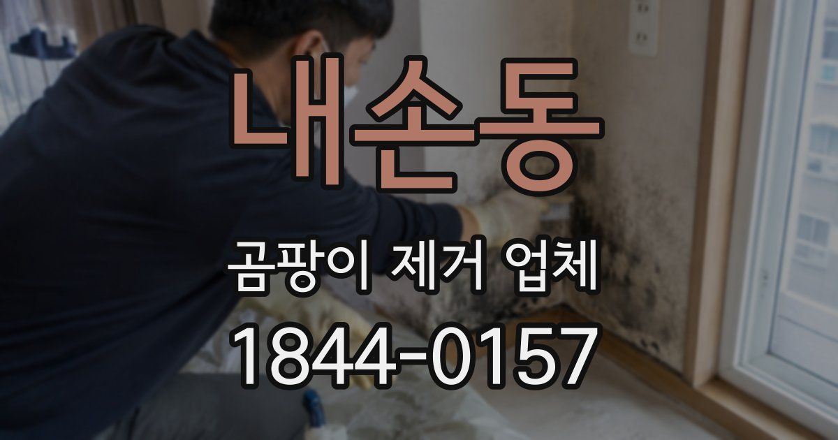 내손동 곰팡이 제거 업체