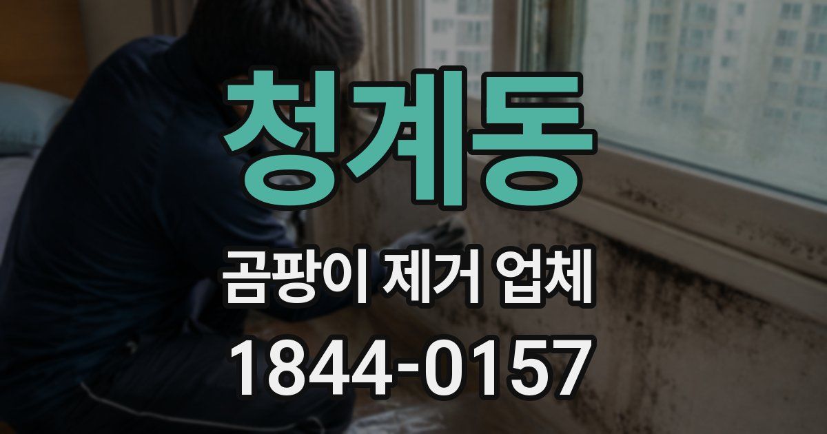 청계동 곰팡이 제거 업체