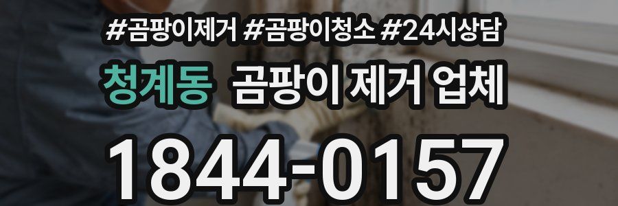 청계동 곰팡이 제거 업체