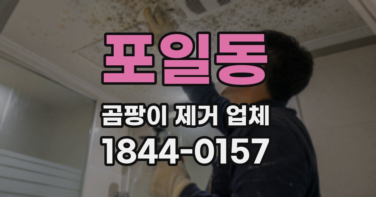 포일동 곰팡이 제거 업체