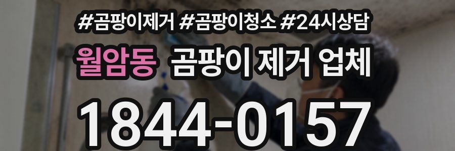 월암동 곰팡이 제거 업체