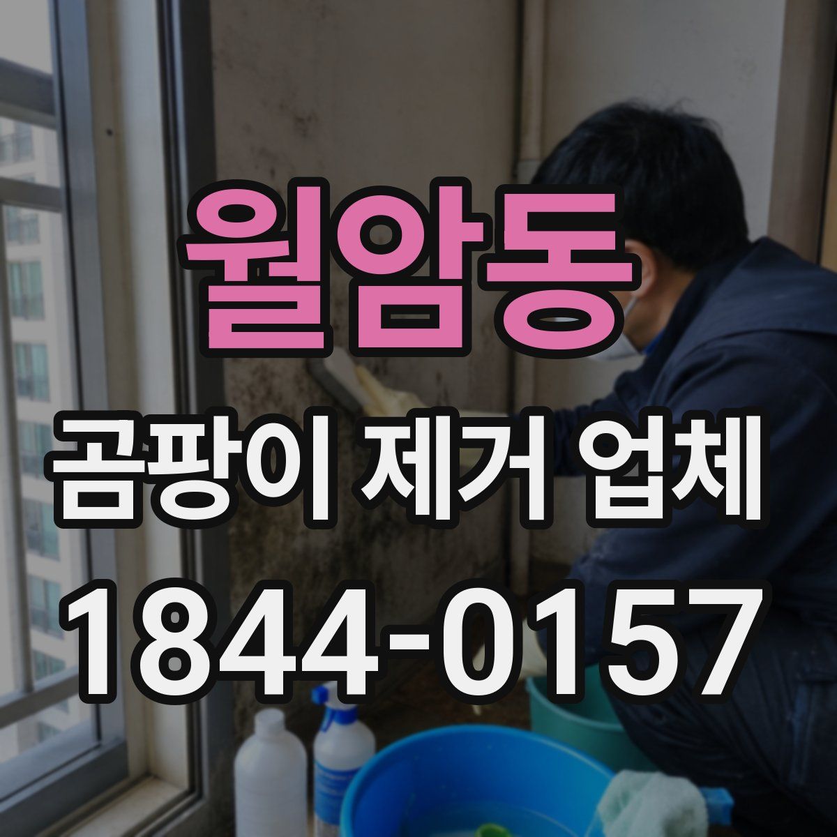월암동 곰팡이 제거 업체