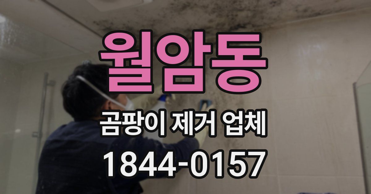 월암동 곰팡이 제거 업체