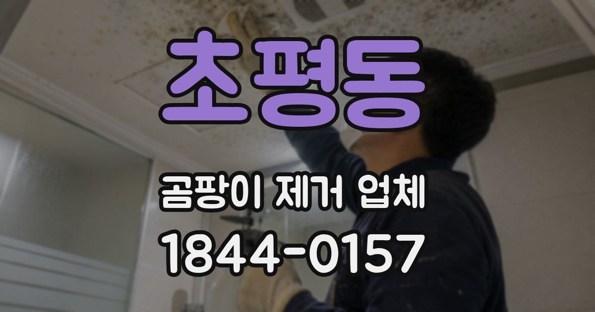 초평동 곰팡이 제거 업체