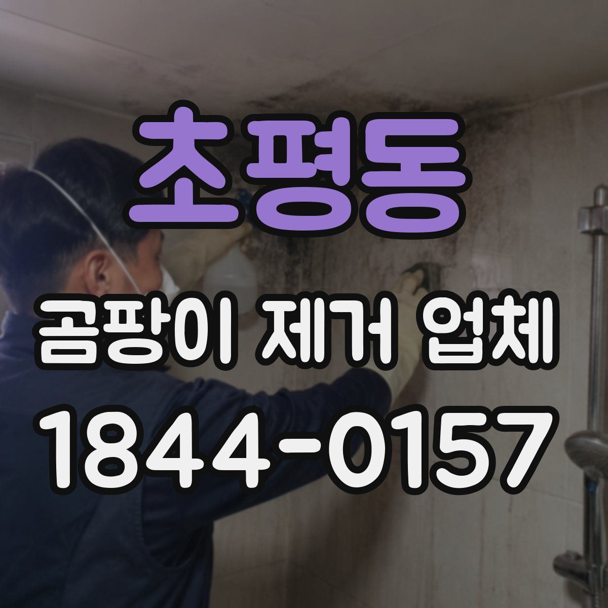 초평동 곰팡이 제거 업체