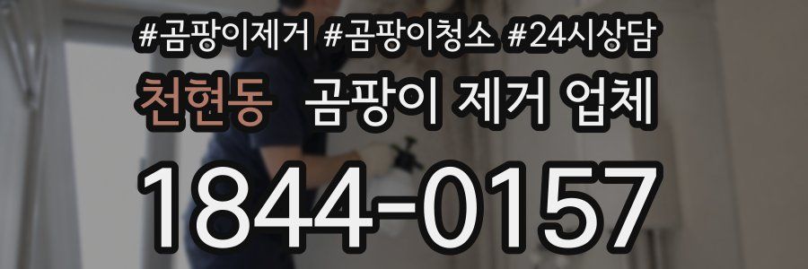 천현동 곰팡이 제거 업체