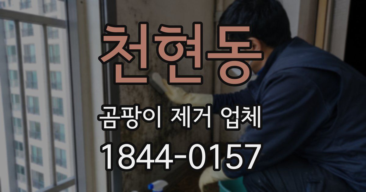 천현동 곰팡이 제거 업체