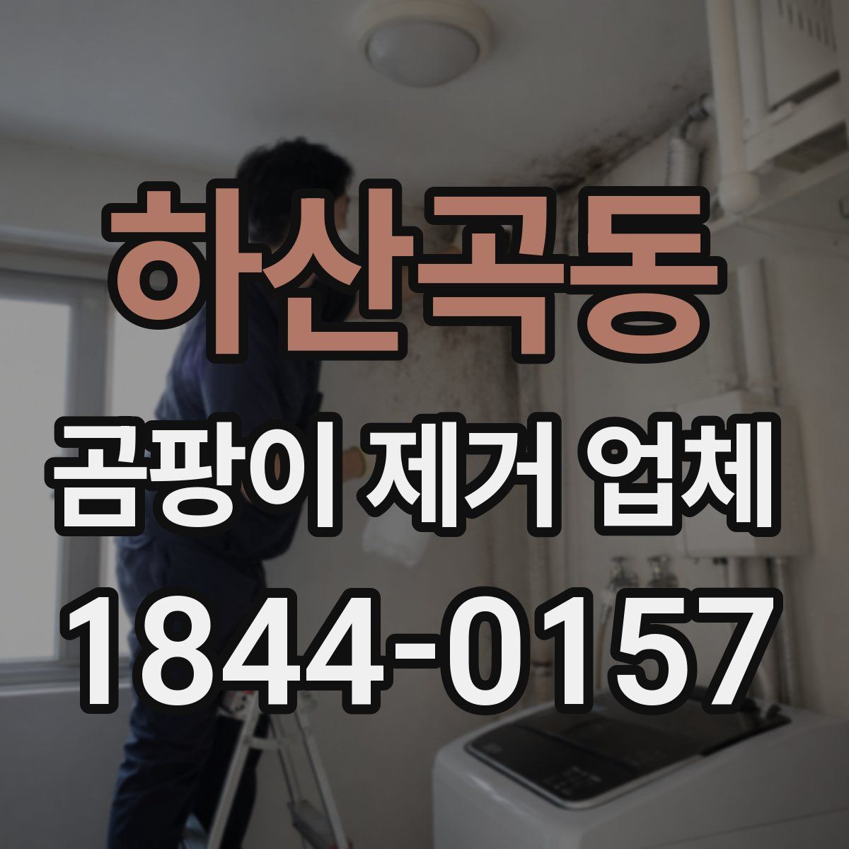 하산곡동 곰팡이 제거 업체