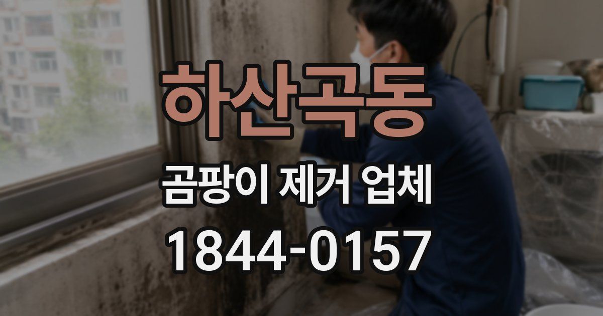 하산곡동 곰팡이 제거 업체