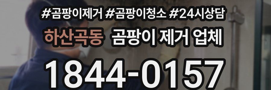 하산곡동 곰팡이 제거 업체