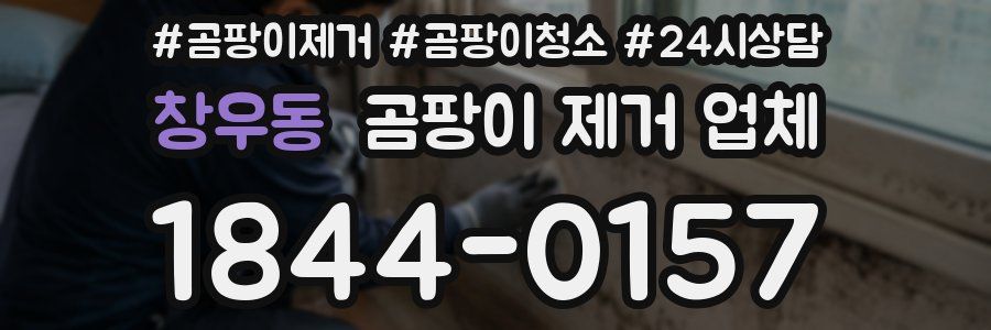 창우동 곰팡이 제거 업체