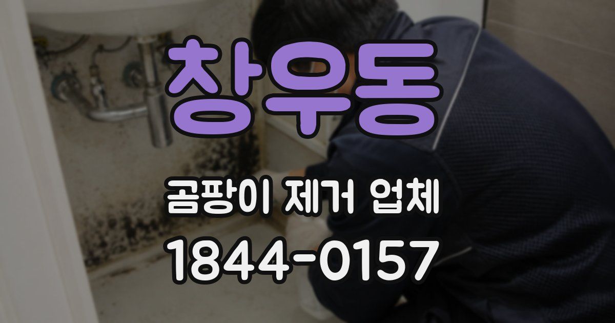 창우동 곰팡이 제거 업체