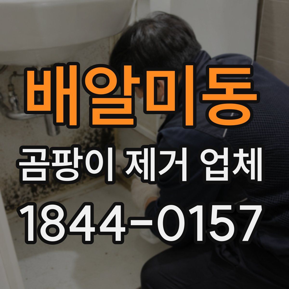 배알미동 곰팡이 제거 업체