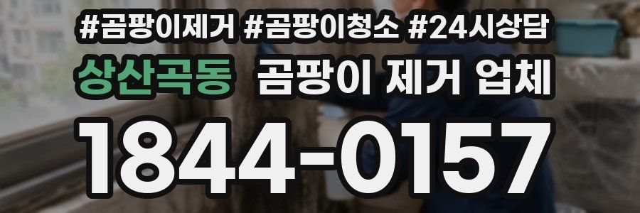 상산곡동 곰팡이 제거 업체