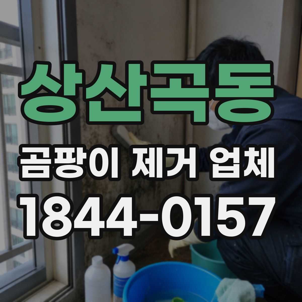 상산곡동 곰팡이 제거 업체